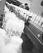 Confezionamento di latte vaccino in bottiglia presso lo stabilimento di Arborea della 3A