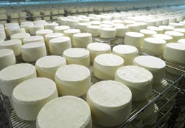 Stagionatura di formaggio Dolce Sardo prodotto dalla 3A Latte Arborea