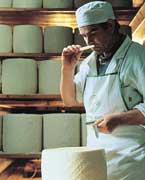 Controllo della stagionatura del formaggio Pecorino Romano Dop in un caseificio dell'isola